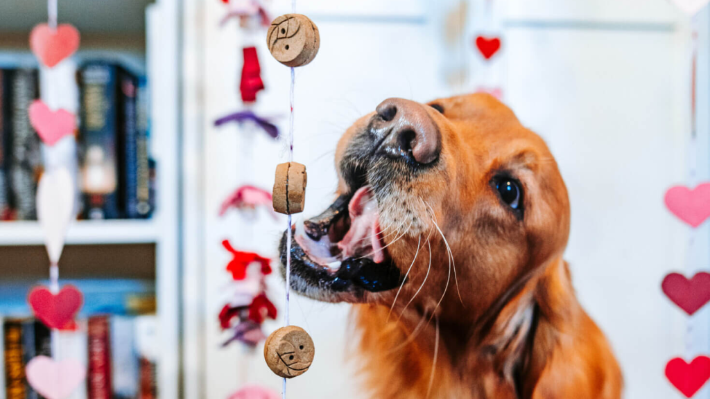 Essential Smart Pet Products Every Pet Owner Needs