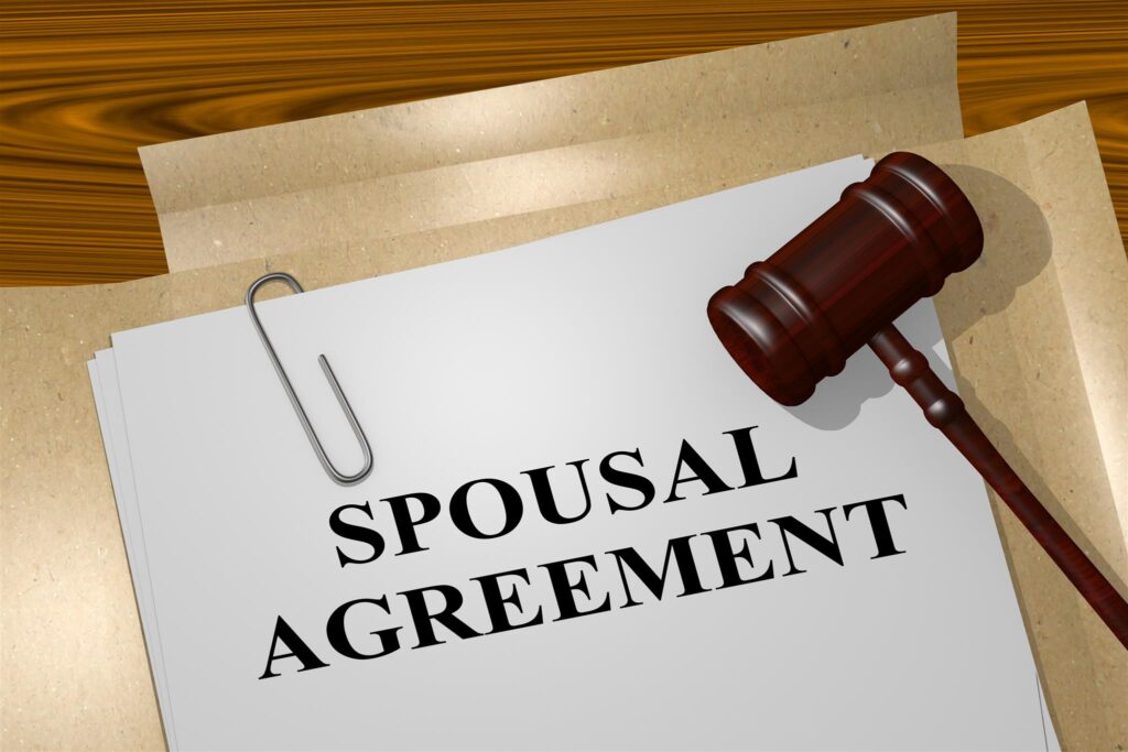Expert Spousal Maintenance