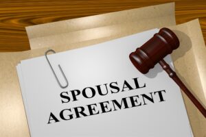 Expert Spousal Maintenance