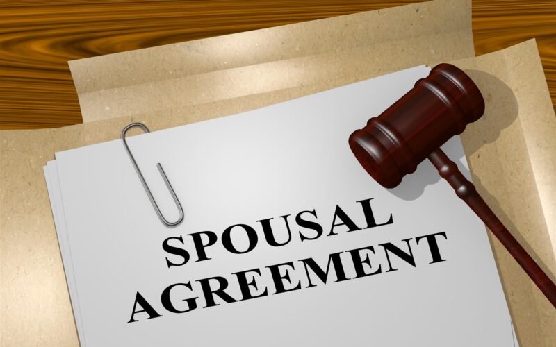 Expert Spousal Maintenance