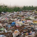 Plastic-Degrading Enzyme Offers Proven Hope for Recycling