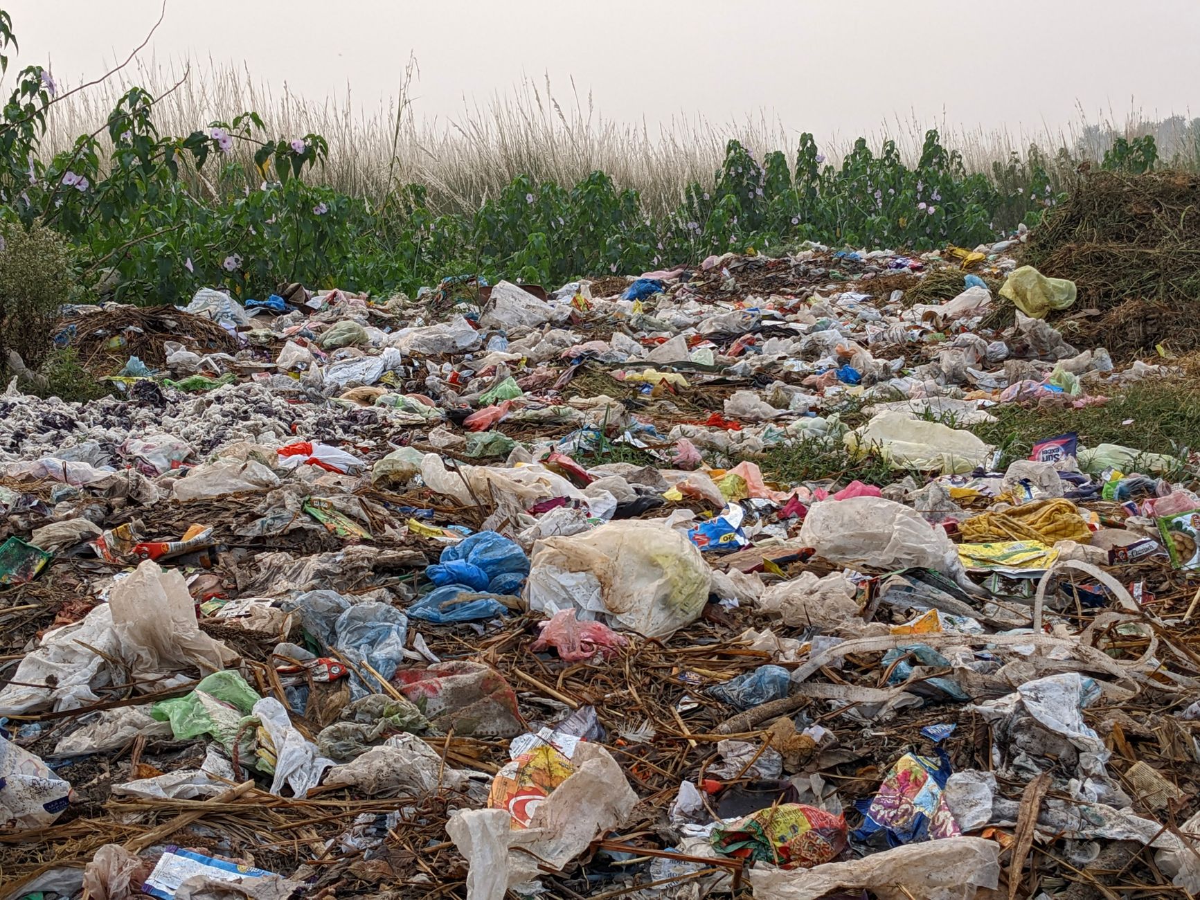 plastic-degrading enzyme